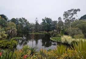 Melbourne: Self-Guided Audio Walk Through St Kilda’s Past