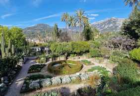 Sóller: Self-Guided Audio Walk Through Mallorca’s Native Flora