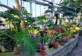 Richmond: Self-Guided Audio Walk Through Garden Beauty
