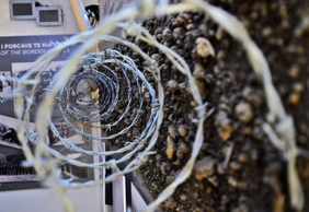 Tirana: Self-Guided Audio Walk Through Albania’s Living History