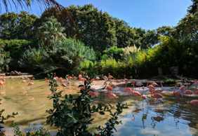 Barcelona: Zoo Skip The Line Ticket & Self-Guided City Walk