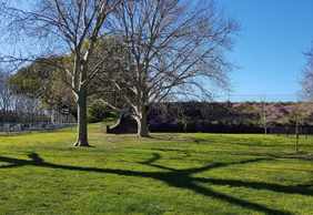 Sydney: Self-Guided Audio Walk through Centennial Park’s Oasis