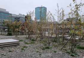 Zürich: Self-Guided Audio Walk Through the City’s Creative West