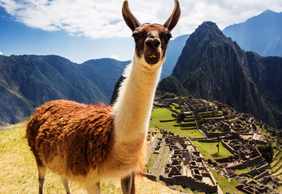 Cusco: Machu Picchu Audio Tour