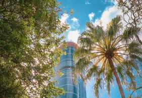 Brisbane: Botanic Gardens Audio Tour