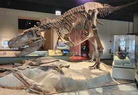 Chicago: The Field Museum Ticket & City Landmarks Audio Tour
