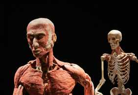 Berlin: BODY WORLDS Ticket and a Self-Guided Audio Walk Through the City
