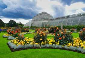 Kew Gardens: Entry Ticket and a Self-Guided Audio Tour