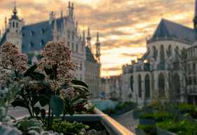 Leuven: Self-Guided Audio Walk Through a City of Scholars