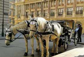 Vienna: Gourmet Delights Audio Tour