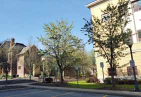 Canandaigua: Historic Downtown Audio Tour