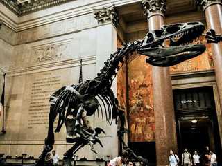 New York City: American Museum of Natural History Ticket & Audio Tour