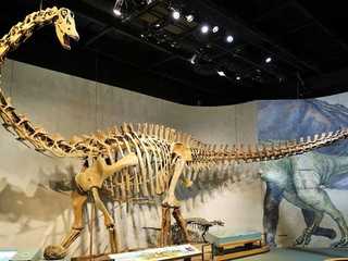 Denver: Museum of Nature and Science Ticket & Audio Tour