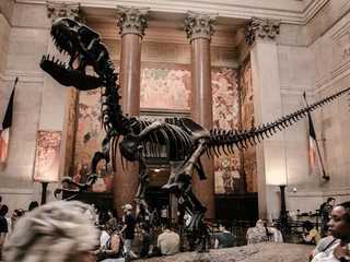 New York City: American Museum of Natural History Audio Tour