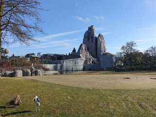 Paris Zoological Park (Parc Zoologique de Paris): Entrance Ticket