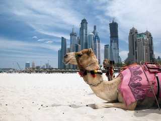 Dubai: Burj Khalifa & Full-Day Town Walk Audio Tour (Without a Ticket)