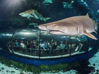 Barcelona Aquarium: Skip The Line Ticket