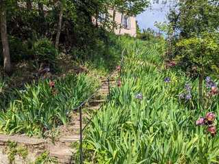 Auvers-sur-Oise: Self-Guided Audio Walk Through Van Gogh's Village