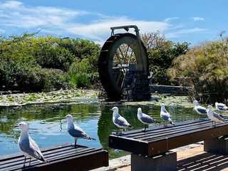 Cape Town: Green Point Park Adventure Audio Tour