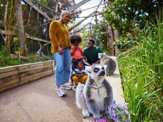London Zoo: Entry Ticket
