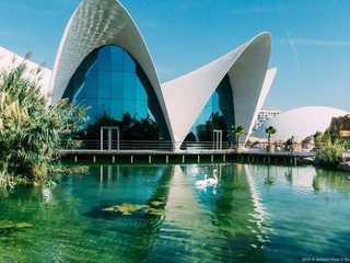 Oceanogràfic de Valencia: Entry Ticket