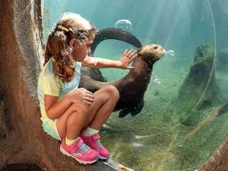 Zoo Miami: Skip The Line Ticket