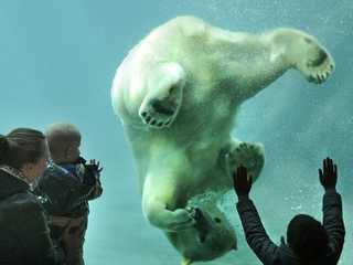Rotterdam Zoo: Skip The Line Ticket