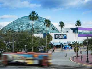 The Florida Aquarium: Entry Ticket