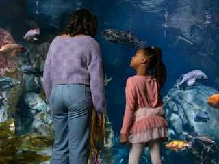 Aquarium of the Pacific: Skip The Line Ticket