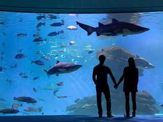 Palma Aquarium: Skip The Line Ticket