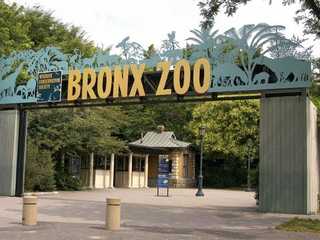 Bronx Zoo: Entry Ticket