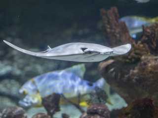 Seaquarium Le Grau-du-Roi: Entry Ticket