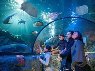Gardaland SEA LIFE Aquarium: Entry Ticket
