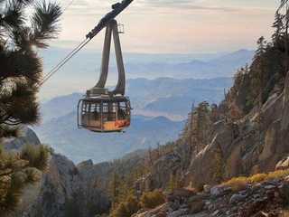 Palm Springs Aerial Tramway: Entry + Roundtrip Transport