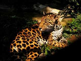 Parque de la Conservación Medellín: Skip The Line Ticket