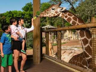 San Antonio Zoo Flexible Any-Day Entry Ticket