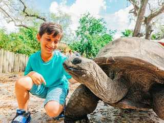 ZooTampa at Lowry Park: Fast Track Ticket