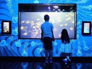 SEA LIFE Melbourne Aquarium: Entry Ticket