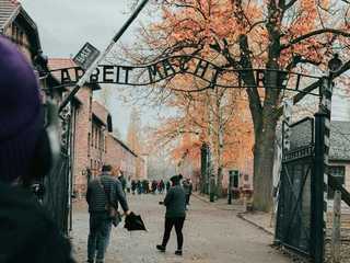 Auschwitz-Birkenau: Entry + Transport