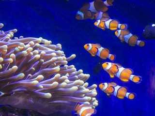 Barcelona Aquarium: Flexi-Ticket