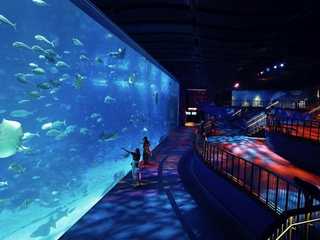 S.E.A. Aquarium™ Singapore: Entry Ticket
