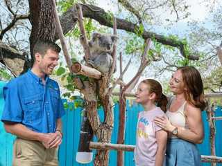 Tampa ZooQuarium: ZooTampa & The Florida Aquarium Combo Ticket