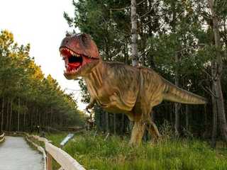Dino Parque Lourinha: Entry Ticket