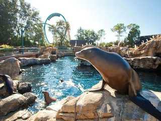 SeaWorld Orlando: Entry Ticket with Optional Quick Queue