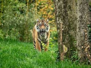 Nashville Zoo at Grassmere: Fast Track Ticket
