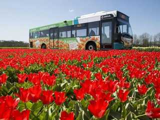 Amsterdam: City & Region Travel Ticket