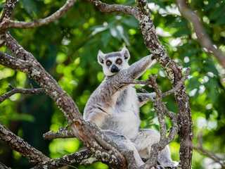 Faunia Nature Park: Entry Ticket