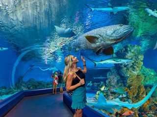 Cairns Aquarium: Entry Ticket