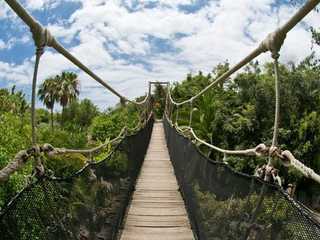 Jungle Park: Entry Ticket