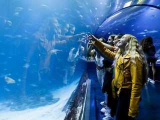 Atlantis Aquarium Madrid: Entry Ticket